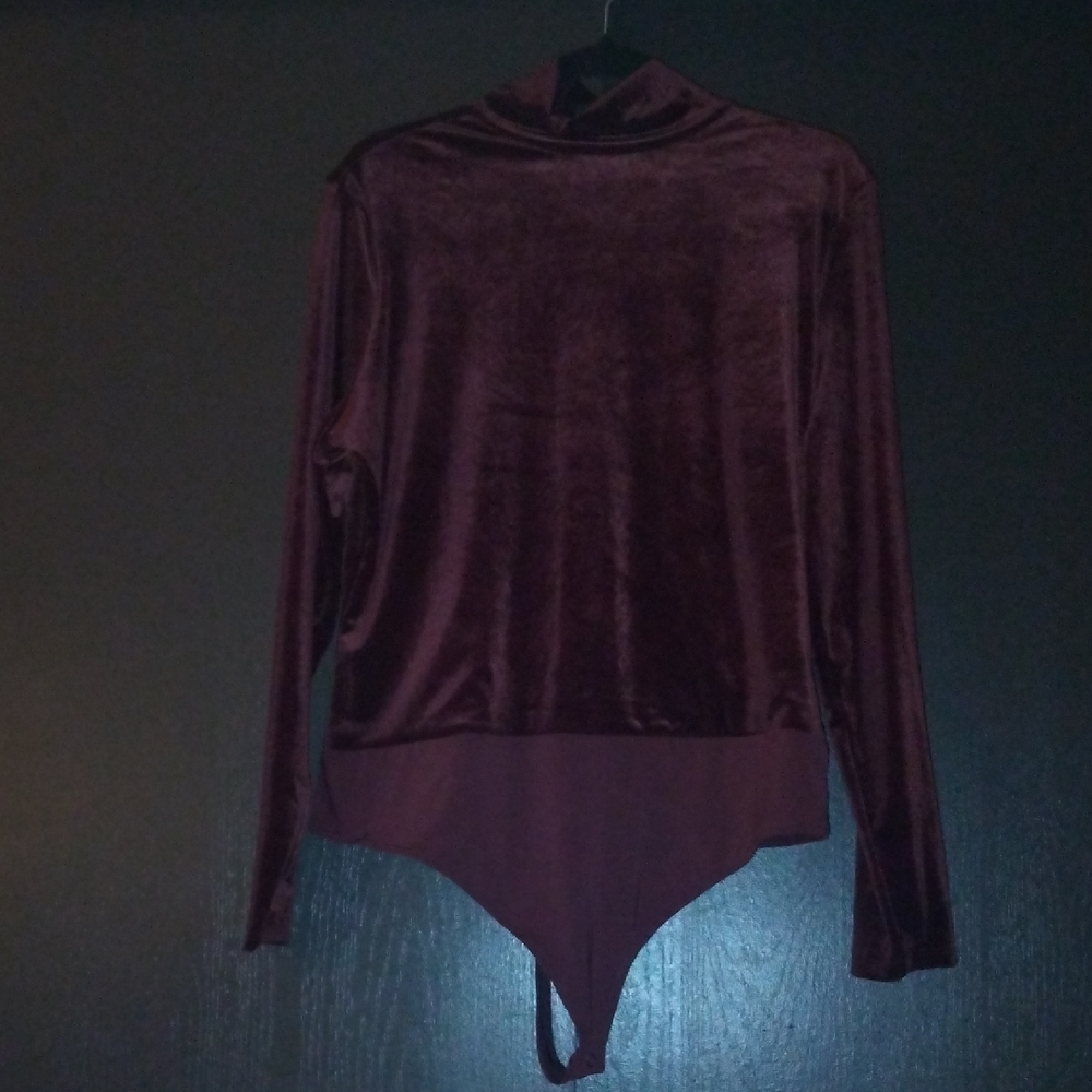 Velvet Maroon Bodysuit By Express